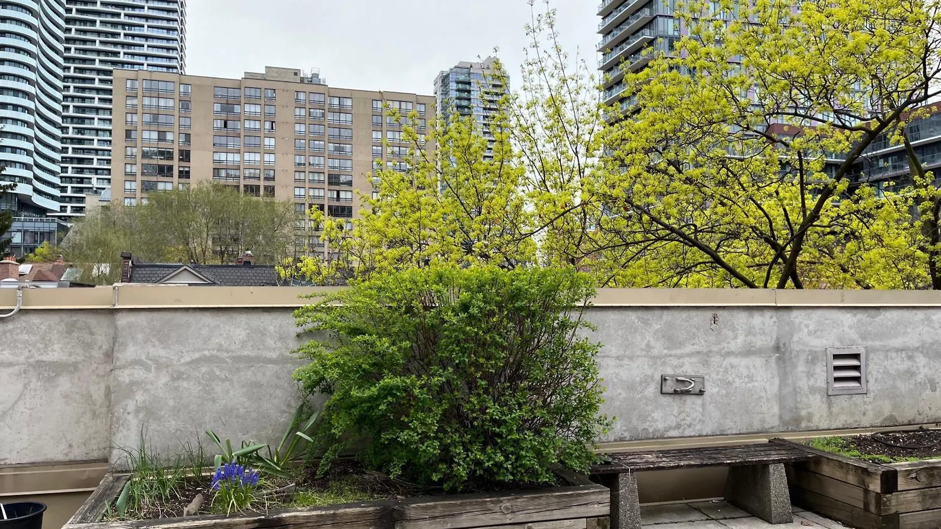 Neill Wycik Hotel छात्रावास